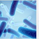 주식회사 퍼스트바이오 이미지