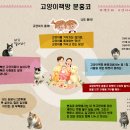 책방분홍코 이미지