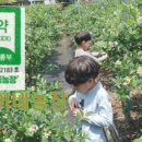 복이네 농장 이미지