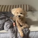 서서울동물병원 이미지