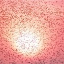 사구미해안도로 이미지