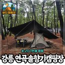 봉담읍사무소 외부화장실 | 강릉 겨울바다 캠핑장 연곡솔향기캠핑장 명당 예약팁 C323 사이트 후기