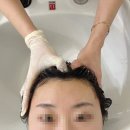 포레스타 | 산본 두피케어 후기 | 도노포레스타에서 받은 탈모예방 관리