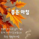 타타타 이미지