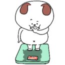 문스타일짐 이미지