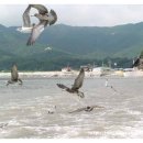 서검낚시터 이미지