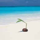 청마농장2 이미지