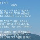 과일이오네 이미지