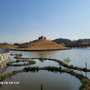 함안(순천) 이미지