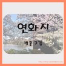 김천시 관광안내소 이미지