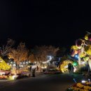 유림-1071 이미지