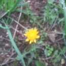 경한농장 이미지