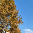 마두공원 이미지