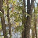 테라바이오로직스(주) 이미지