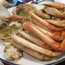 대게나라 이미지