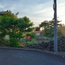 노형성당 뒤, 광평마을 중심에 위치한 토지 매매 이미지