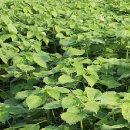 미리산길 이미지