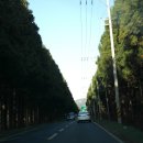 부미갤러리 이미지