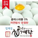 행운유정란 이미지