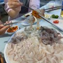 천량횟집 | 삼척 횟집 :: 자연산 활어회 초곡항 5호 천량횟집 모듬회 매운탕 내돈내산 후기