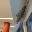 선 건축사사무소 | [데일리포레스트] 26.05.16 "OPEN HOUSE:색동집" 후기.