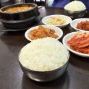 송화식당 | 송화시장 근처 맛집 우장산역 충북식당 오픈런 웨이팅 후기