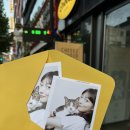 치이즈스튜디오 이미지