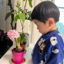 [교원전집] 두비의 즐거운 생활 20 알록달록 꽃이 활짝!