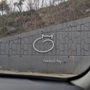 길냥이와 함께하는 | 강릉 고양이와 함께하는 독채 펜션 [네코스테이]