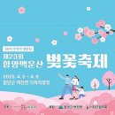 함양 백운산벚꽃축제부터 백전 벚꽃 상림숲 강아지 산책 근처 맛집까지 봄날 나들이 후기