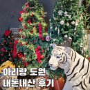 아리랑전자 | 동탄 근처 용인 카페 아리랑도원(좌식 노트북 카공, 크리스마스 분위기)