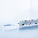 36.5도 우리 - 이미지