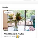 그룹에이펙스 | [뉴질랜드] 12박 13일 신혼여행 기록② 퀸스타운 : 밀포드사운드, 글레노키