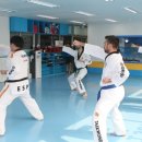 용인대 엘리트 태권도 이미지