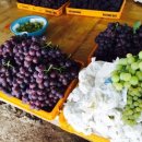 청포농장 이미지