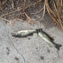 낙낙저수지 이미지