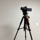 스마트폰 하나로 찍는 나의 인생사진 | 가성비 좋은 카메라 겸 스마트폰 삼각대 주닉스 T-180 유튜브 영상 촬영용으로 추천해요