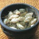 추석엔 송편이쥐 이미지