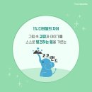 코코랜드 이미지