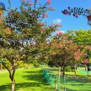 진주종합경기장 파크골프장 이미지