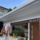 벨루스독 이미지