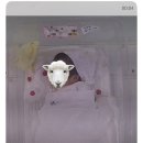 맘스텔라산후조리원 이미지