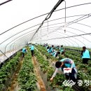 이한영농장 이미지