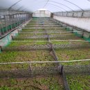 하서농장 이미지