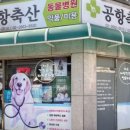 하트만 동물병원 이미지
