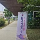 🌿 삶의 마지막 순간까지, 나의 뜻을 존중받을 수 있도록 (사전연명의료의향서 상담자 교육 수료후기)