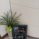 삼성우먼스여성의원 네이버블로그