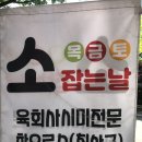 꿀돼지꿀한우