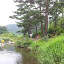 로얄파크장 이미지