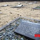 제주외가 이미지